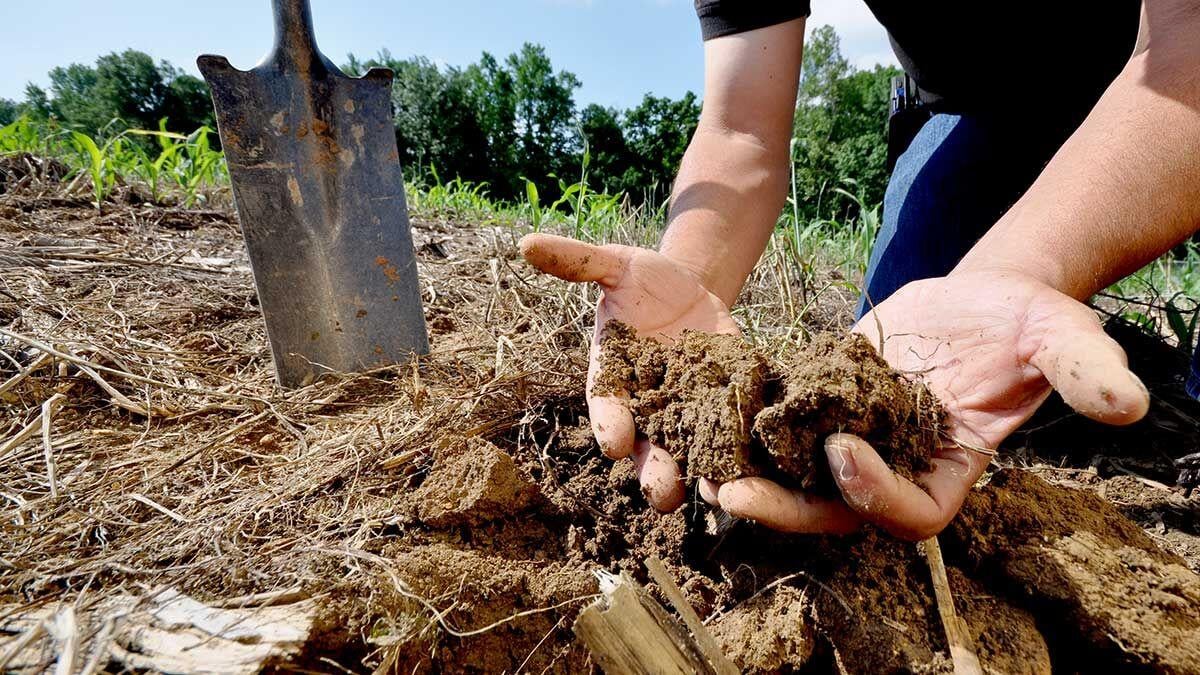 USDA soil health photo