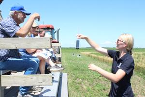SDSU studies best forage varieties, growing methods for farmers, gardeners