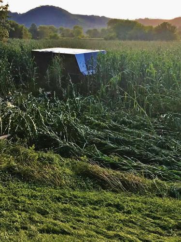 Farms sustain damage