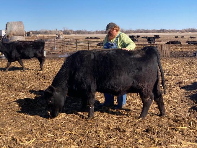 John Odea intro (2).jpeg