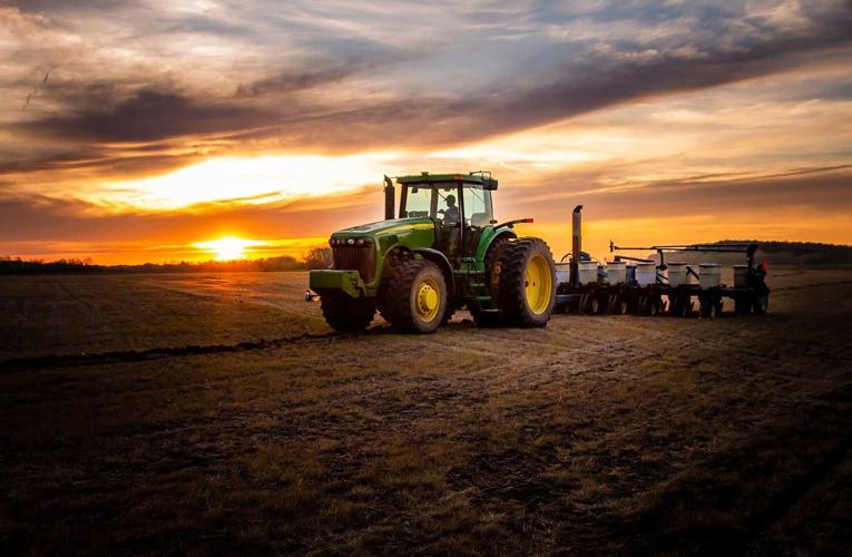 Sunset Planting by Pamela Thompson of Lohman
