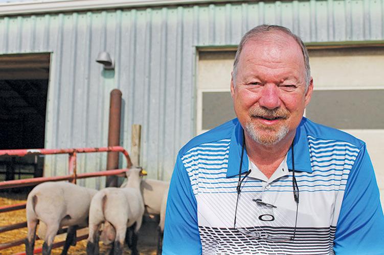 Iowa Extension expert guides sheep industry over 30 years