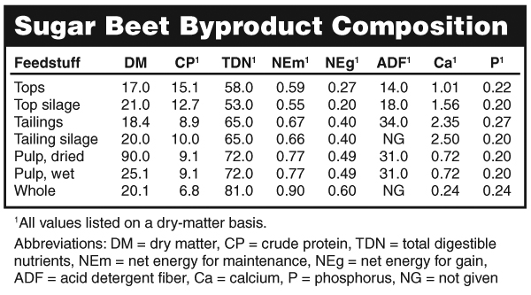 Sugar beet byproducts alternative feed for sheep