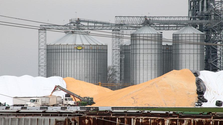 Grain elevator piles of corn
