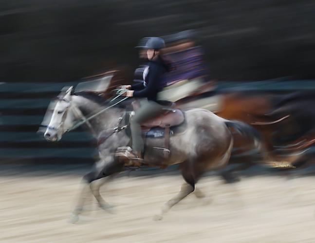Midwest Horse Fair 03-20250411-54233.jpg
