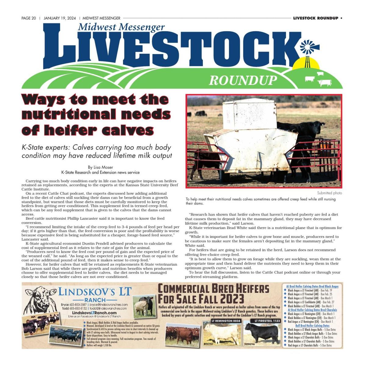 Livestock Roundup 11924