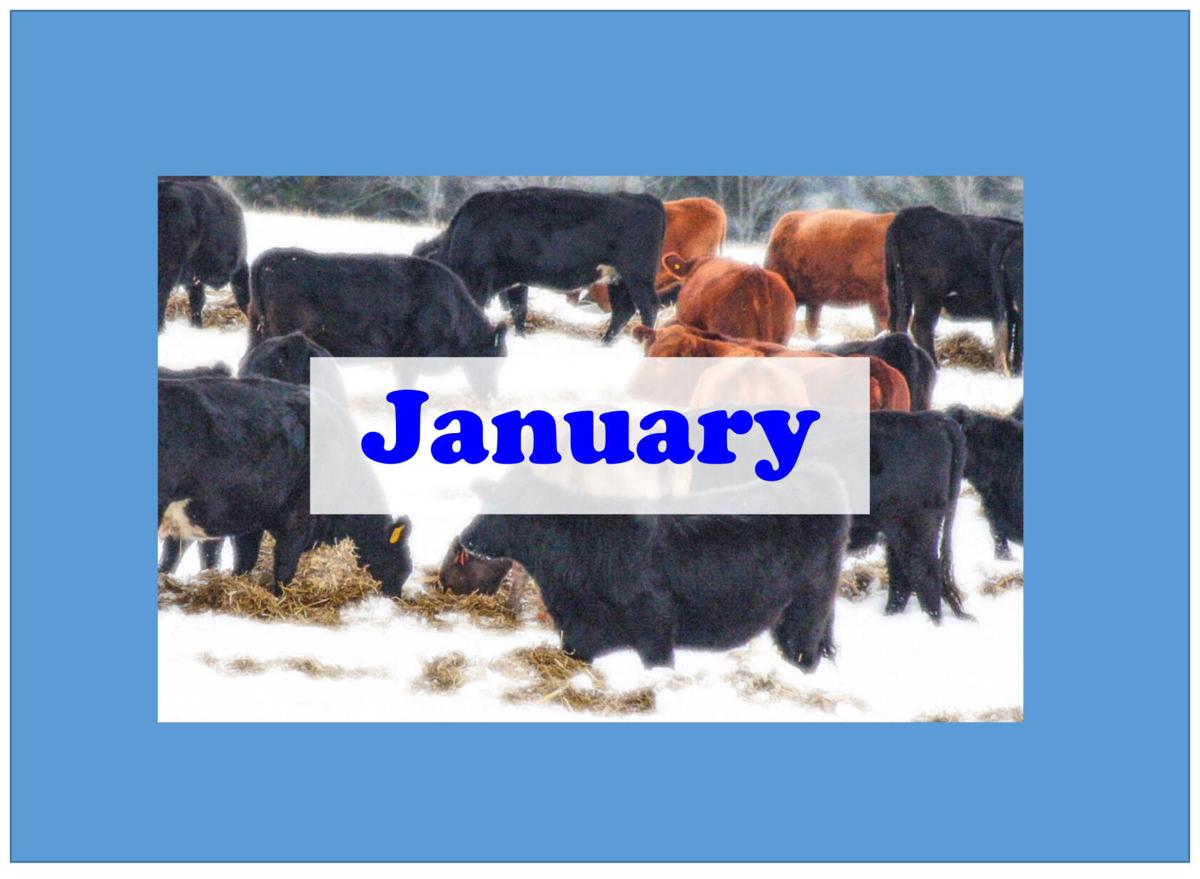 Calendar In the World of Ag