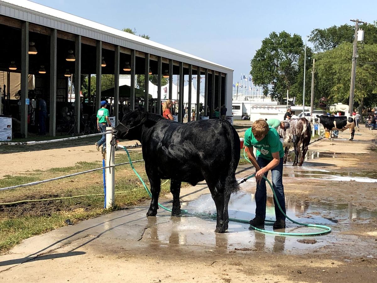 South Dakota State Fair 2020