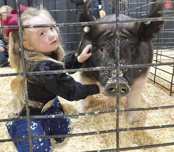 Sioux Empire Livestock Show 2023-25.jpg