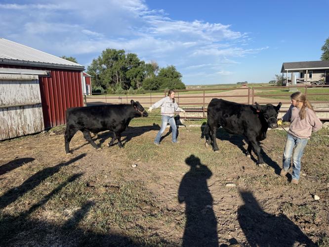 Local Beef Dinner (22).jpg