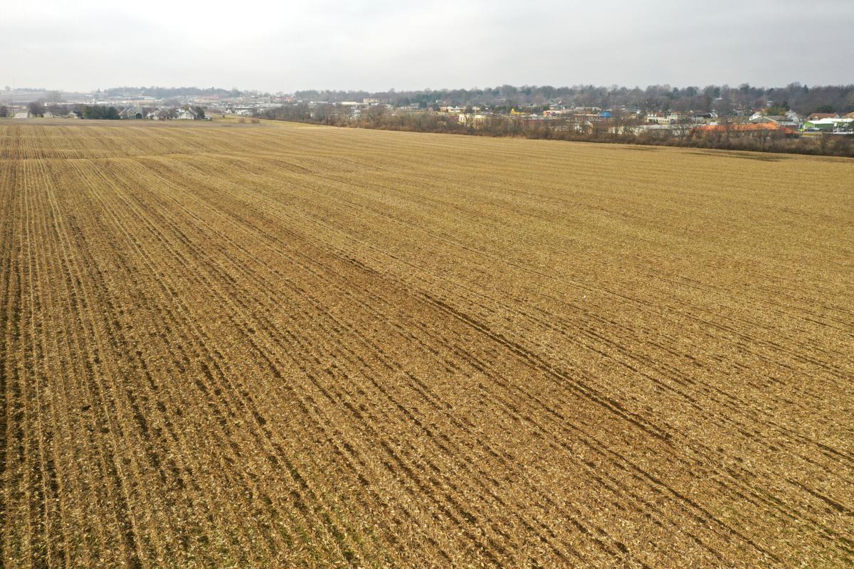 Farmland auction tips (1).jpg