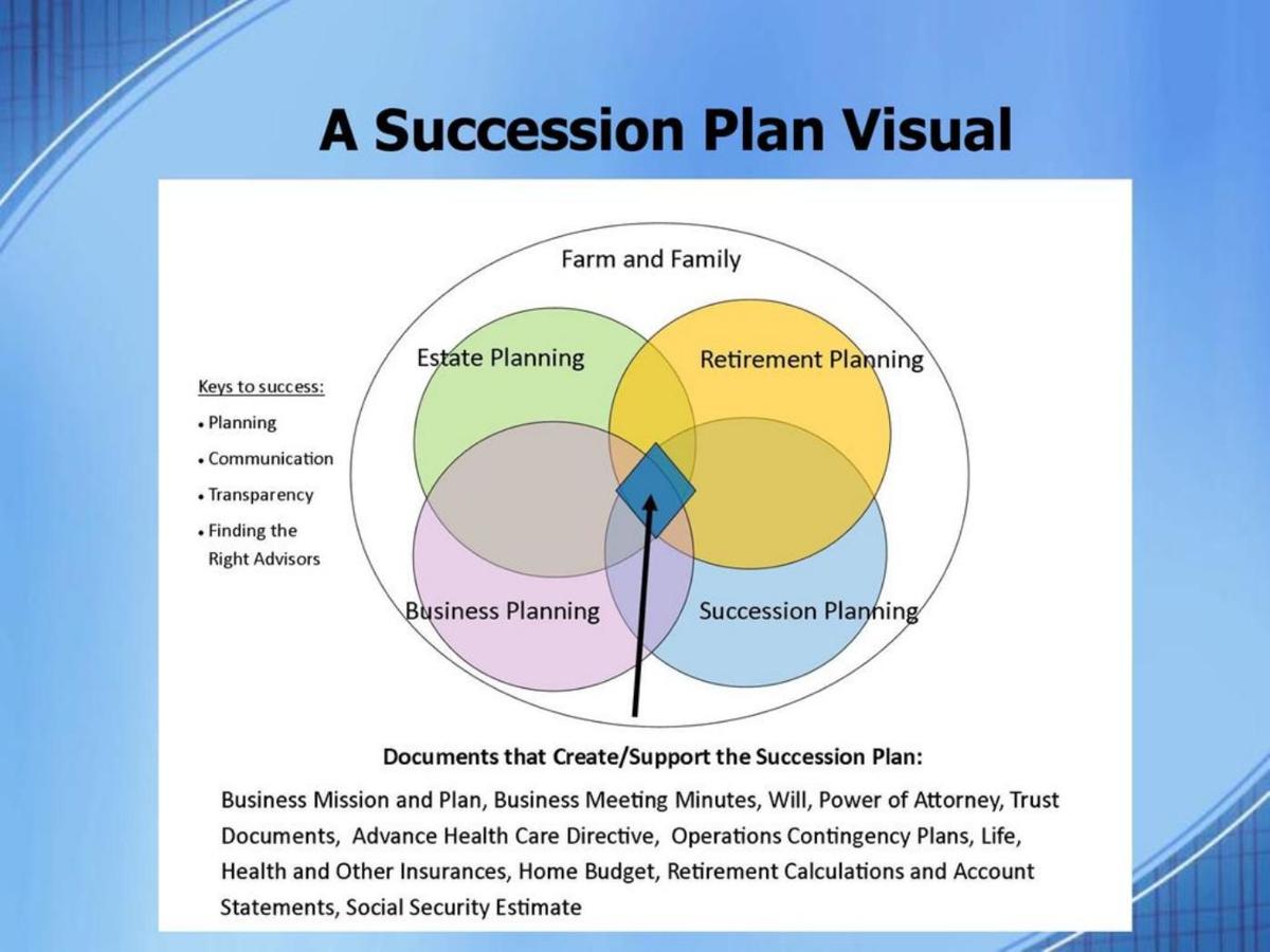 Succession Plan Visual | | agupdate.com