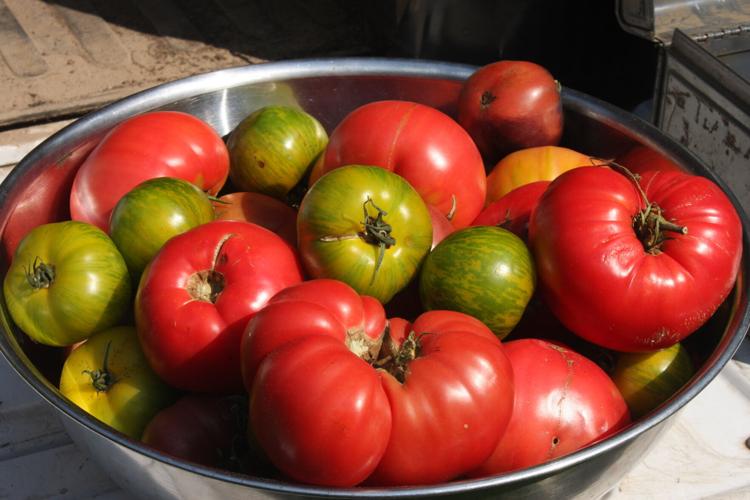 Heirloom tomatoes