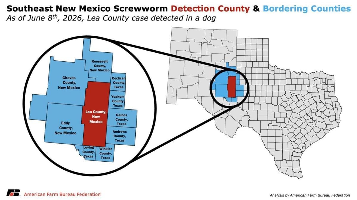 Southeast New Mexico Detection Zone
