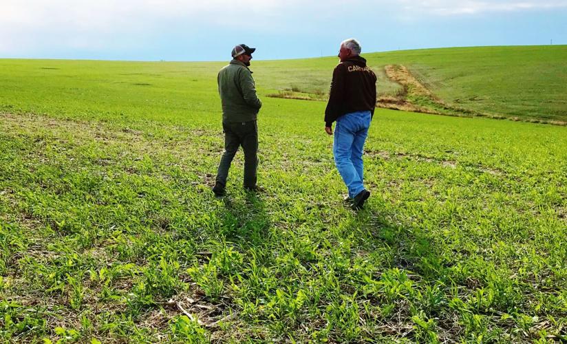 Matt Miller and Larry Redfearn