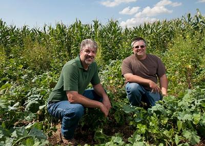 The importance of cover crops