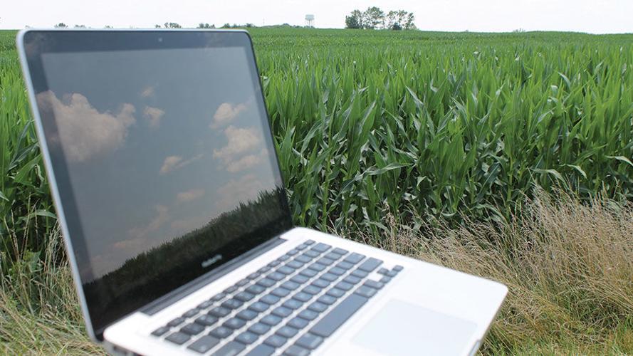 Laptop in corn field