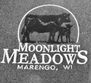 Moonlight Meadows