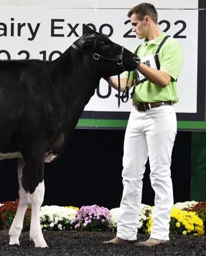 Jacob Harbaugh with cow