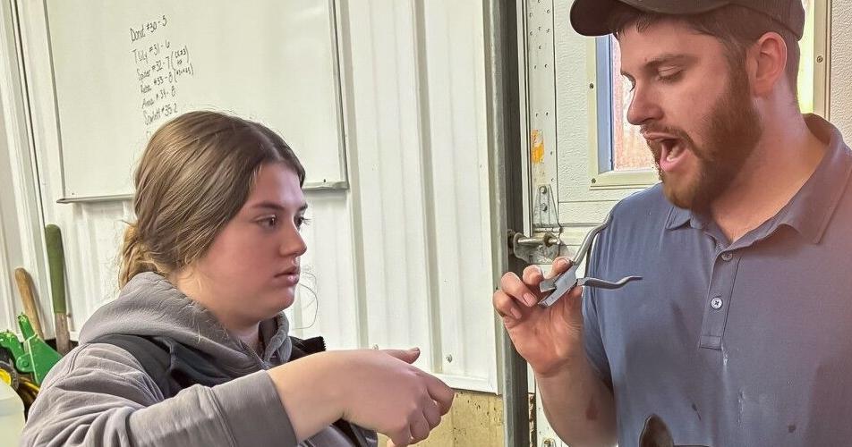 Ambassadors enjoy hands-on industry experience