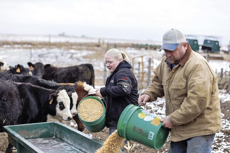 Farm Family 2.jpg