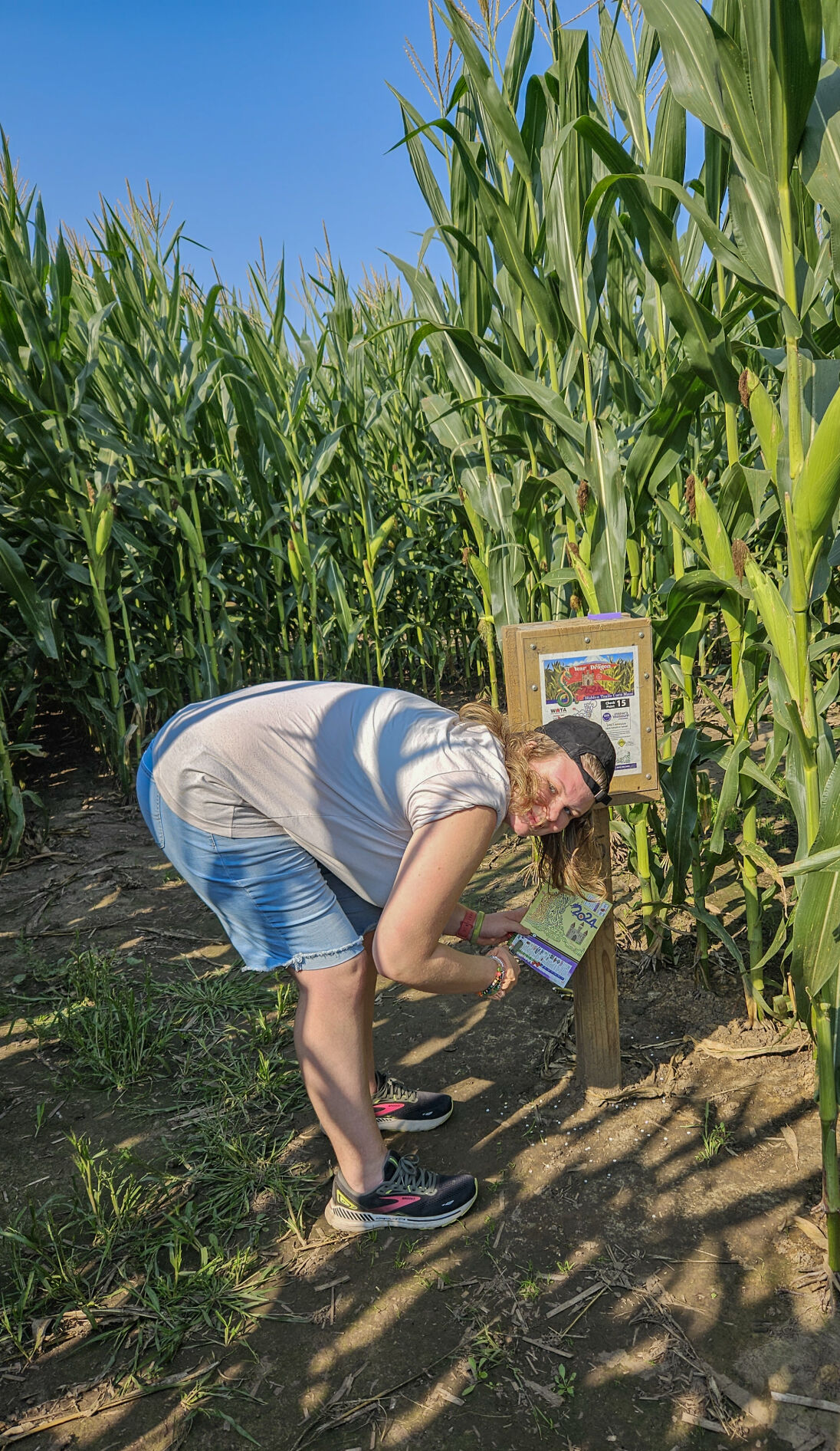 Corn maze