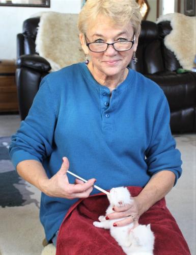 Cindy Pipping feeds a kitten