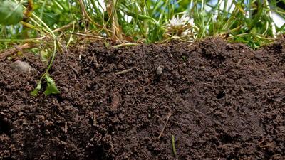 Soil Health