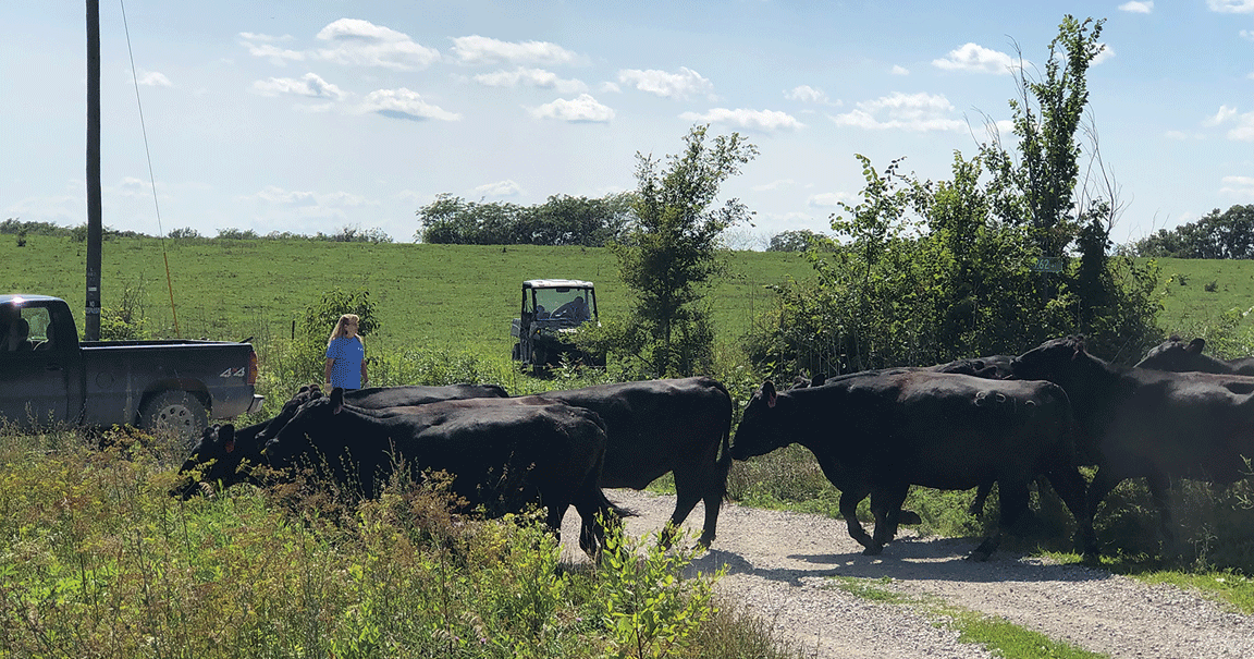 Farmers puts conservation tax to work