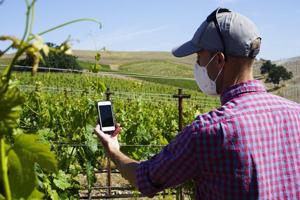 Farmers invited to share views on AI in agriculture