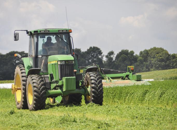 Tractor in field of alfalfa