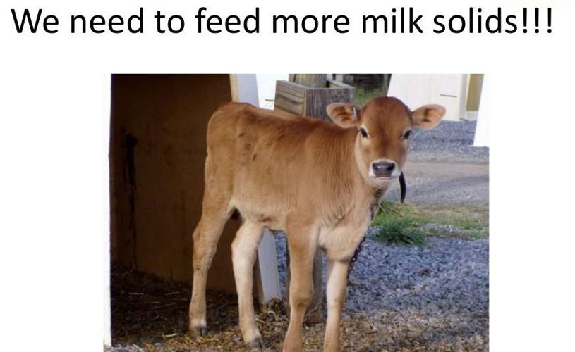 Need to feed more milk solids