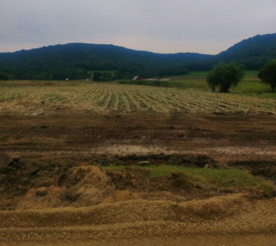 Farms damaged