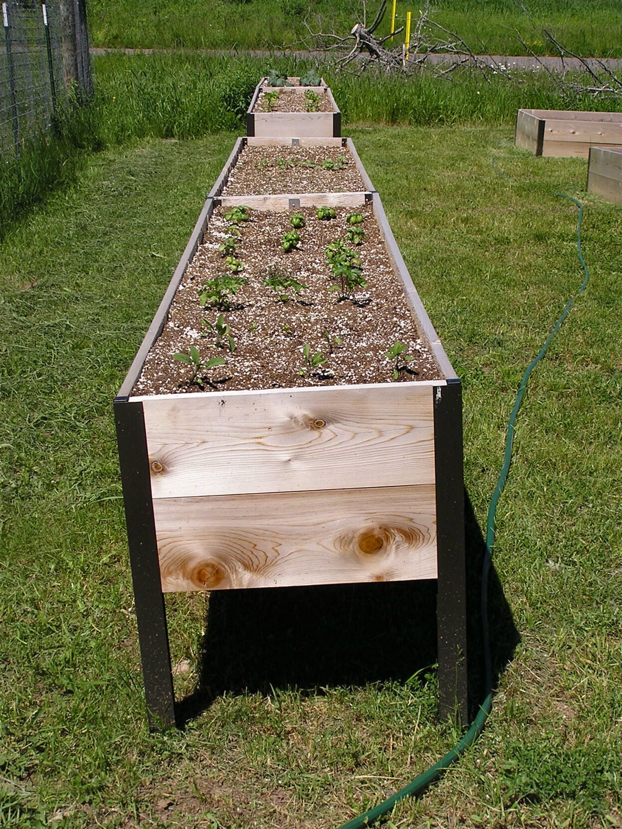 Raised bed