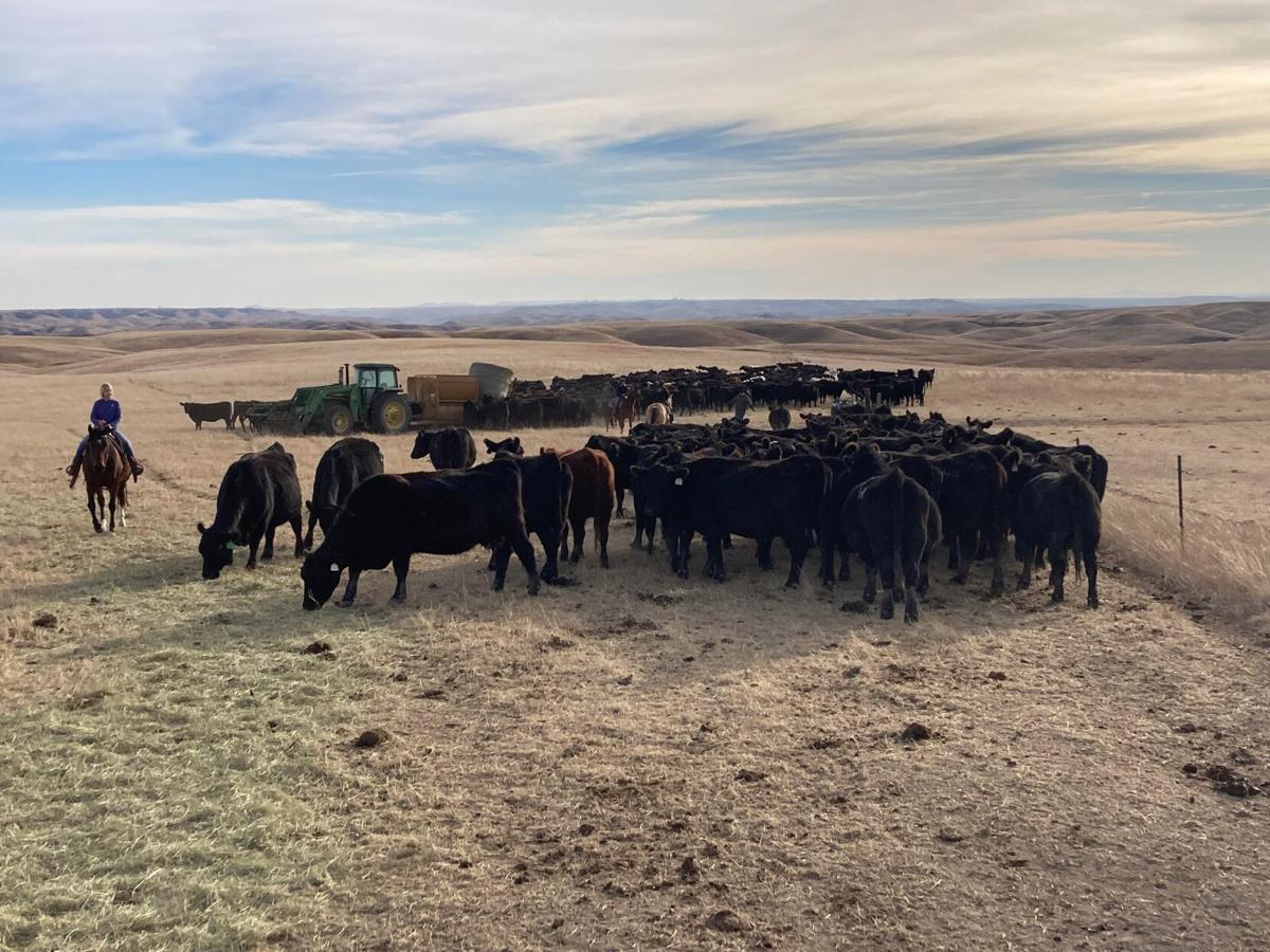 Cattlewomen (3).jpeg