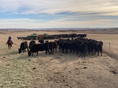 Cattlewomen (3).jpeg