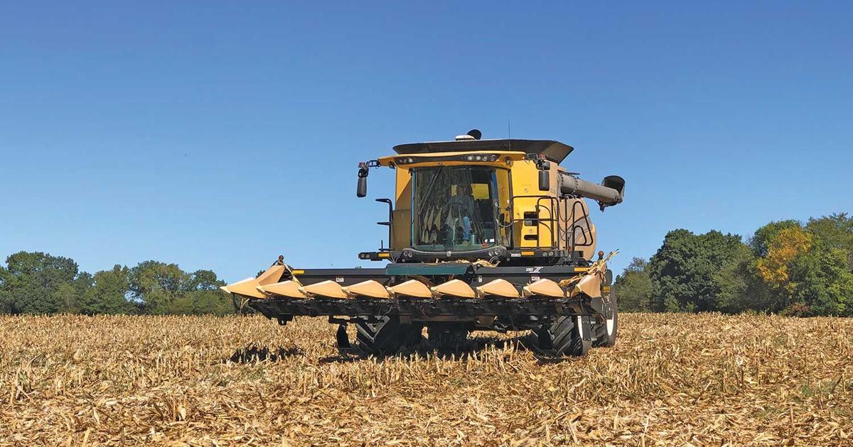 Clear conditions allow for corn progress