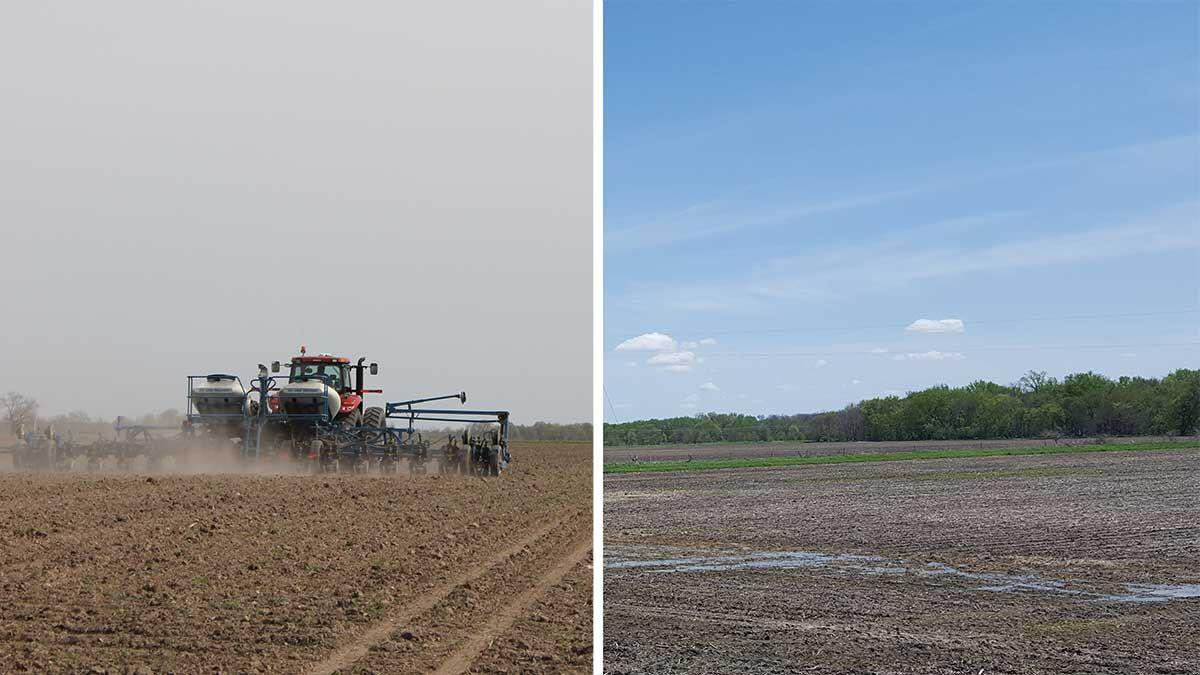 Dry - wet planting conditions
