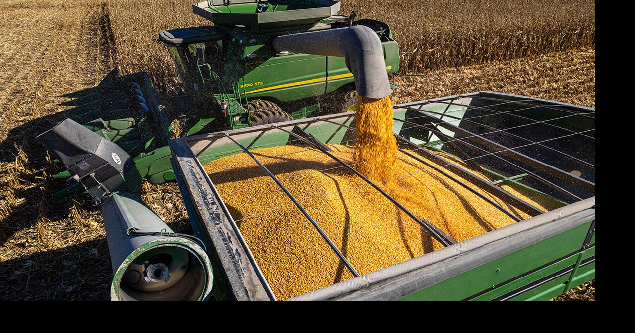New ‘LLCs for Nebraska Farms and Ranches’ online course launches Nov. 1