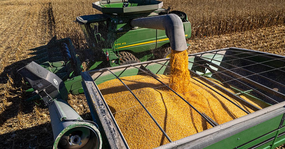 New ‘LLCs for Nebraska Farms and Ranches’ online course launches Nov. 1