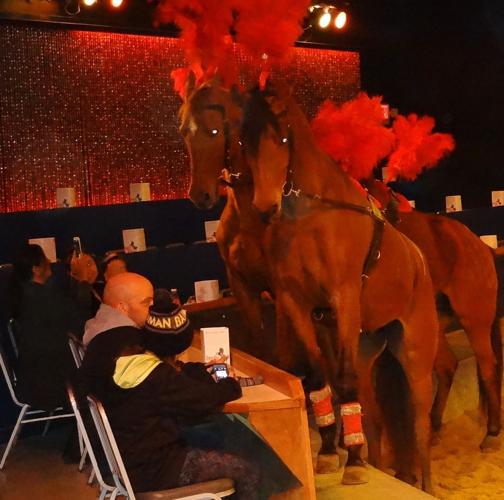 Are you watching us?