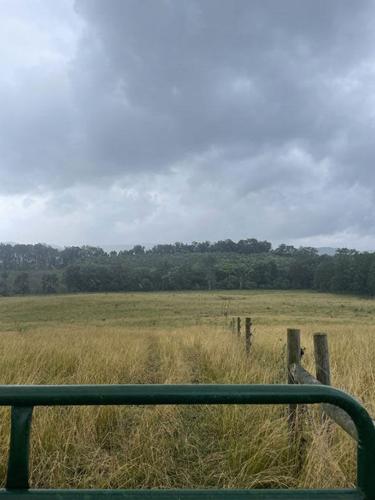 Cool-season grass pasture