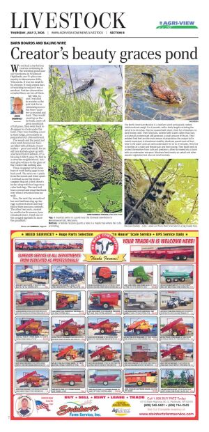 Page B1