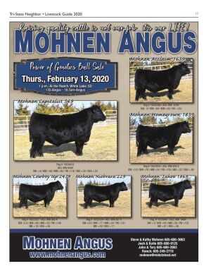 Page TSN LSG 2020 17