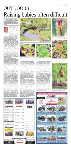 Page D7