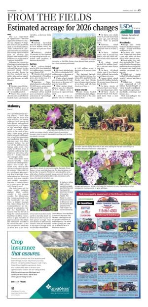Page C3