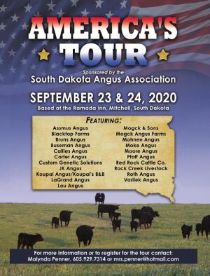 Page TSN LSG 2020 41