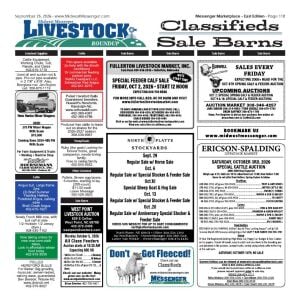 Page E11