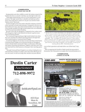 Page TSN LSG 2020 40