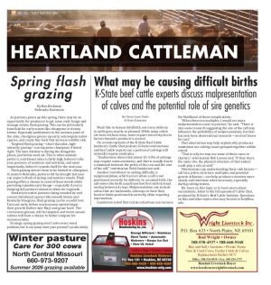 Page A017